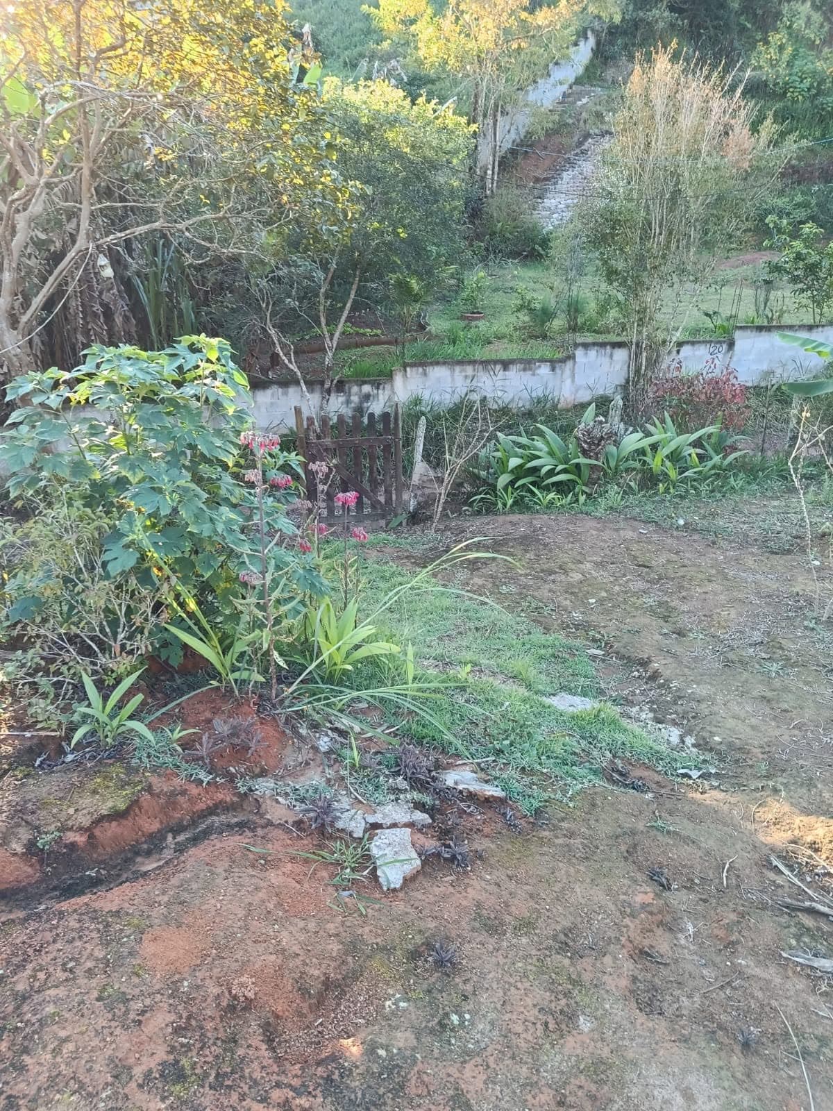 Chácara com casa nova e pés de frutas no Itaguaçu